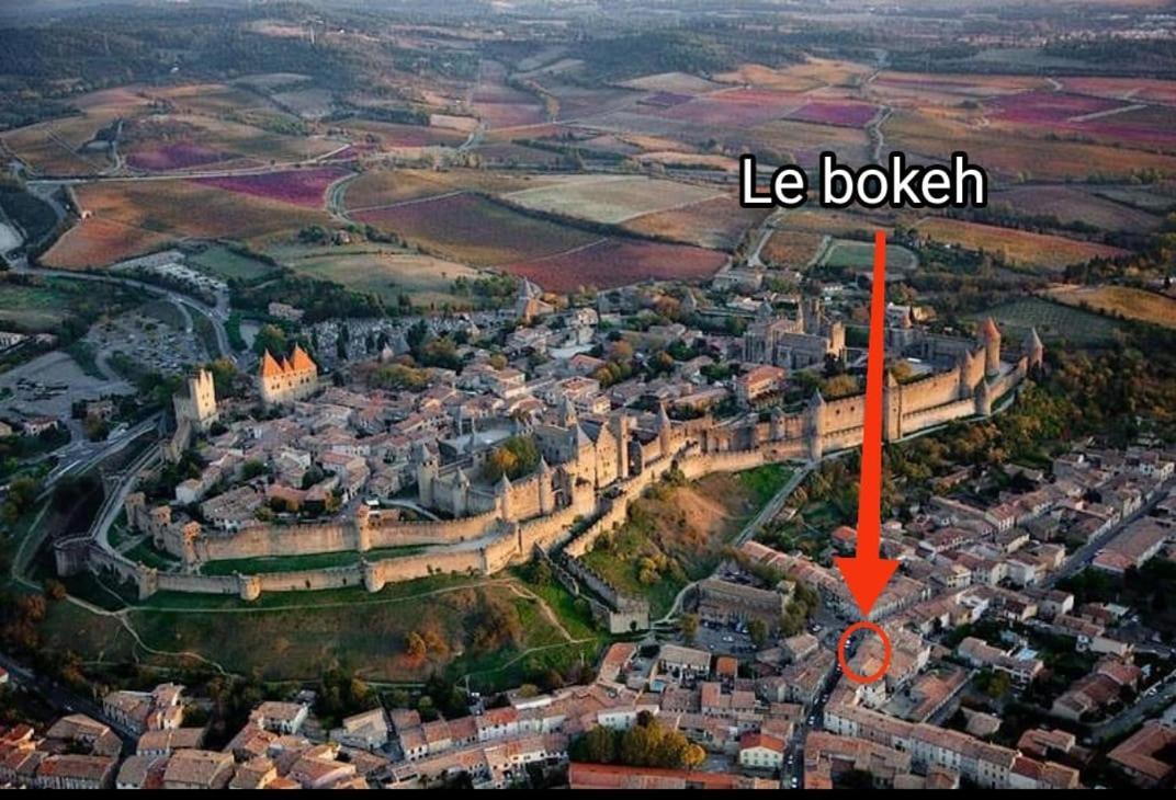 Le Bokeh - Face A La Cite Medievale Καρκασόν Εξωτερικό φωτογραφία